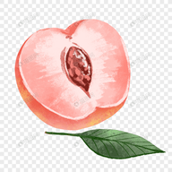 WWW,se749·COM网站APPAPP应用